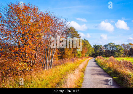 Il sentiero attraversa un paesaggio autunnale Foto Stock