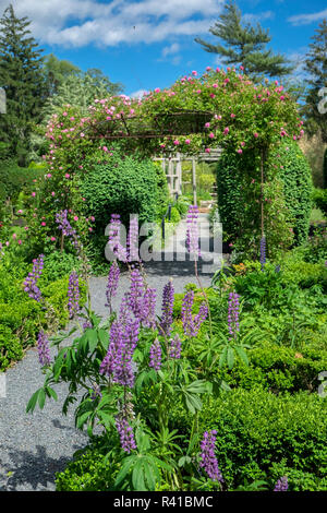 Animali verde Topiaria da giardino, Portsmouth, Rhode Island, Stati Uniti d'America Foto Stock