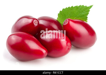 Bacche rosse di corniolo sanguinello o con anta isolati su sfondo bianco Foto Stock