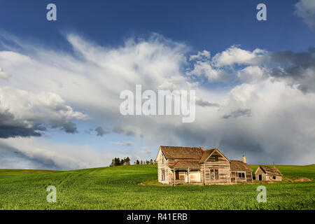 Fattoria abbandonata, Weber House, Palouse regione dello Stato di Washington orientale. Foto Stock