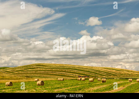 Balle di fieno e nuvole, Palouse regione dello Stato di Washington orientale Foto Stock