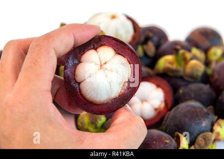 Mangosteen scorza in mano isolato su sfondo con Foto Stock