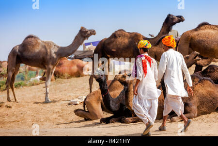 Gli uomini in abito etnici partecipa alla fiera di Pushkar nel Rajasthan, India. Foto Stock