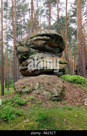 Formazione di roccia nella foresta Foto Stock