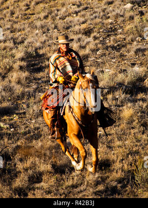 Stati Uniti d'America, Wyoming, Shell, Big Horn Mountains, Cowgirl correndo a piena velocità in movimento (MR) Foto Stock