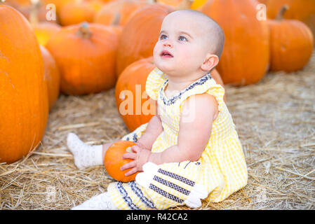 Adorable Baby in Zucca Patch Foto Stock