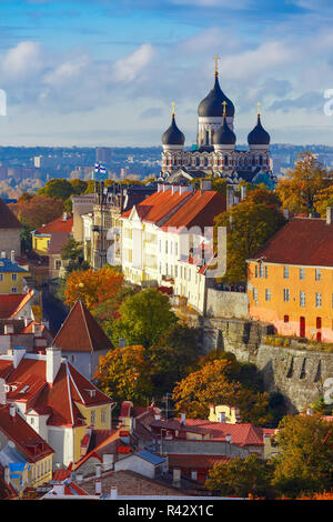 Antenna verticale view old town, Tallinn, Estonia Foto Stock