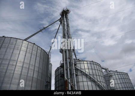 Diversi silos di deposito di grano di acciaio massiccio utilizzati per l'agricoltura in Estremo Nord Texas rurale, Stati Uniti Foto Stock