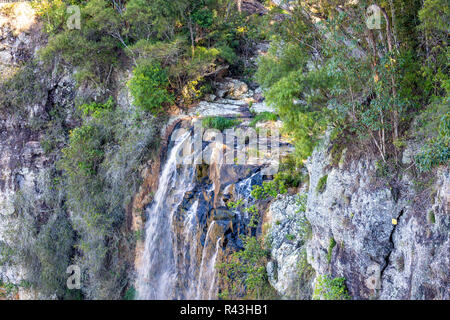 Furlong brook cascata in Springbrook national park, entroterra della Gold Coast, Queensland, Australia Foto Stock