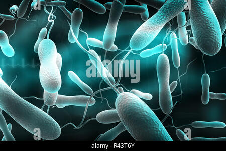 I batteri del colera Foto Stock