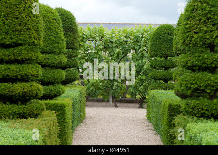 Splendida, giardini ornamentali a castelli della Valle della Loira Foto Stock