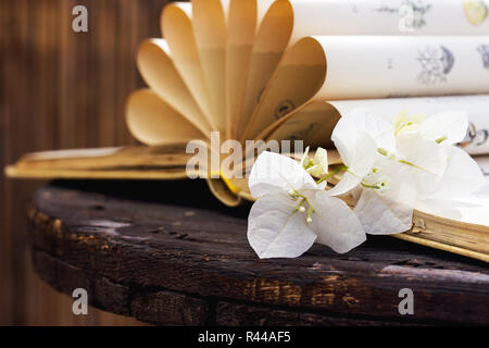 Vintage le pagine di un libro con fiore/ nostalgico stile vintage Foto Stock