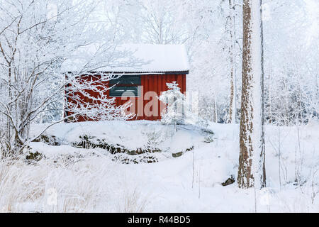 Tettoia rossa in un inverno paesaggio forestale Foto Stock