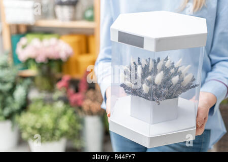 Donna che mantiene mazzetto di lavanda e cotone. Bouquet di fiori secchi in una confezione regalo con vetro. Il concetto di un negozio di fiori. Foto Stock