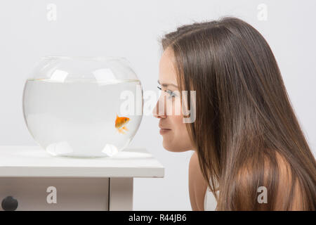 Ragazza giovane faccia inclinata all'acquario e guardando il goldfish Foto Stock