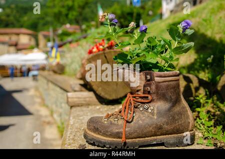 Un vecchio boot è stato riutilizzato come una piantatrice. Questo nuovo impiego dà nuova vita al vecchio oggetto: fresco colore dei fiori spuntano da dove normalmente vengono messi yo Foto Stock