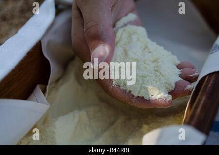 Una mano di un ragazzo riempito con farina di grano duro. Al di sotto di una scatola di legno riempita con farina. Lungo il bordo, un panno bianco può essere visto emergenti dalla farina Foto Stock