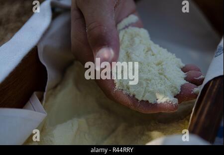 Una mano di un ragazzo riempito con farina di grano duro. Al di sotto di una scatola di legno riempita con farina. Lungo il bordo, un panno bianco può essere visto emergenti dalla farina Foto Stock