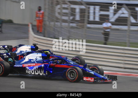 25 novembre 2018, Yas Marina, Abu Dhabi Emirati arabi uniti; Etihad Airways Formula 1 Gran Premio di Abu Dhabi, il giorno della gara; la Scuderia Toro Rosso, Brendon Hartley e team mate Pierre Gasly Foto Stock