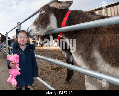 Liscarroll, Cork, Irlanda. 25-11-2018. Lilymay Egan da Mallow all'annuale di Natale Artigianato & Food Fiera che si tiene presso il Santuario di asino, Liscarroll, Co. Cork, Irlanda Credito: David Creedon/Alamy Live News Foto Stock