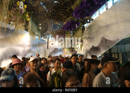 Taichung, Cina. 26 Nov, 2018. Taichung, CINA-vari bellissimi fiori può essere visto nel 2018 Taichung mondo Flower Expo nel sud della Cina di Taiwan. Credito: SIPA Asia/ZUMA filo/Alamy Live News Foto Stock
