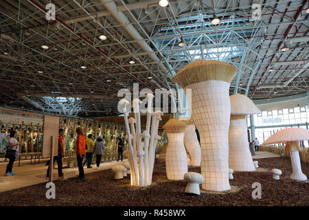 Taichung, Cina. 26 Nov, 2018. Taichung, CINA-vari bellissimi fiori può essere visto nel 2018 Taichung mondo Flower Expo nel sud della Cina di Taiwan. Credito: SIPA Asia/ZUMA filo/Alamy Live News Foto Stock