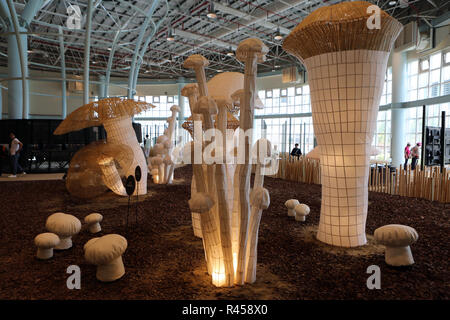 Taichung, Cina. 26 Nov, 2018. Taichung, CINA-vari bellissimi fiori può essere visto nel 2018 Taichung mondo Flower Expo nel sud della Cina di Taiwan. Credito: SIPA Asia/ZUMA filo/Alamy Live News Foto Stock