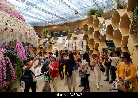 Taichung, Cina. 26 Nov, 2018. Taichung, CINA-vari bellissimi fiori può essere visto nel 2018 Taichung mondo Flower Expo nel sud della Cina di Taiwan. Credito: SIPA Asia/ZUMA filo/Alamy Live News Foto Stock