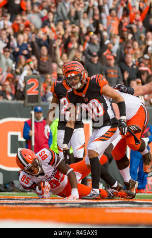 Cincinnati, OH, Stati Uniti d'America. Novembre 25th, 2018: Cleveland Browns manualmente l'estremità David Njoku (85) punteggi un touchdown in un gioco tra il Cleveland Browns e Cincinnati Bengals il 25 novembre 2018 a Paul Brown Stadium di Cincinnati, OH. Adam Lacy/CSM. Credito: Cal Sport Media/Alamy Live News Foto Stock