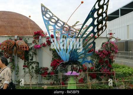 Taichung, Taichung, Cina. 26 Nov, 2018. Taichung, CINA-vari bellissimi fiori può essere visto nel 2018 Taichung mondo Flower Expo in sud ChinaÃ¢â'¬â"¢s Taiwan. Credito: SIPA Asia/ZUMA filo/Alamy Live News Foto Stock