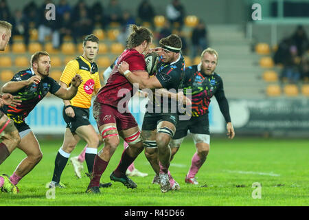 Parma, Italia. 25 Novembre, 2018. Zebre il flanker Giovanni Licata combatte per mantenere la sfera nella partita contro il Munster nel Guinness PRO14 2018 2019©Massimiliano Carnabuci/Alamy Live news Foto Stock