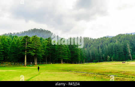 Lago Khajjiar- 'mini' Svizzera dell India Foto Stock