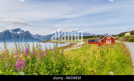 Tipico paesaggio scandinavo con un Fisherman's cottage lungo un lago e di un ghiacciaio in background Foto Stock