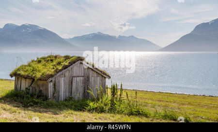 Tipico paesaggio scandinavo con una vecchia capanna con un tetto verde lungo un lago Foto Stock