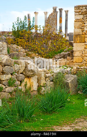 Volubilis in Africa il monumento deteriorato e sito Foto Stock