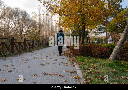 Senior donna è camminare tra le foglie cadute in autunno Foto Stock