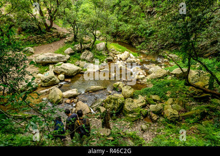 Bhalu Gaad escursione a cascata Foto Stock