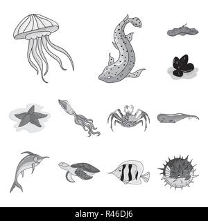 Una varietà di animali marini icone monocromatiche in set di raccolta per il design. Pesci e crostacei simbolo vettore illustrazione stock. Illustrazione Vettoriale