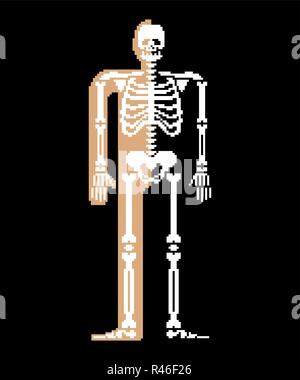 Lo scheletro di pixel art. Il Teschio e Ossa anatomia 8 bit. Pixelate osso pelvico e nervature. La colonna vertebrale e le vertebre. Un osso umano system 16bit. Vecchio gioco computer grap Illustrazione Vettoriale