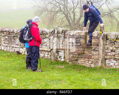 L uomo che si arrampica sul montante verticale in un secco muro di pietra mentre si camminava la lunga distanza Teesdale modo nella Contea di Durham in Inghilterra con due compagni di scuotipaglia Foto Stock