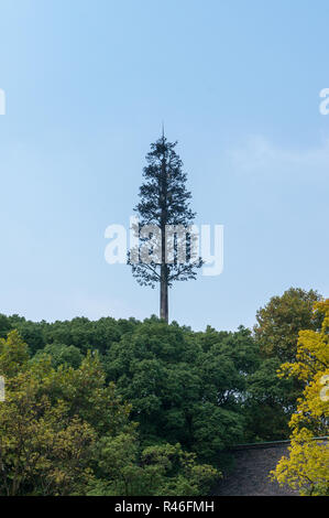 Falso albero con le antenne radiomobili in Cina, Asia, in estate in una giornata di sole Foto Stock