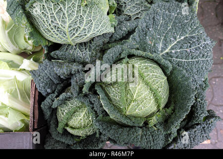 Cavolo verza per la vendita al mercato in stallo nel novembre del Regno Unito Foto Stock