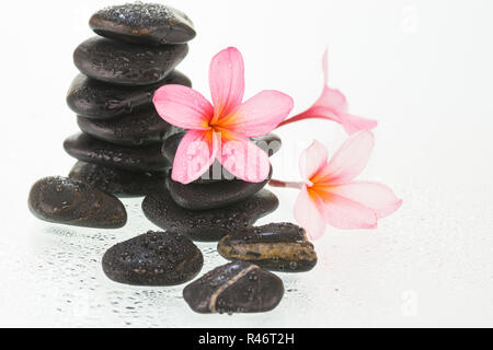 Plumeria fiori e pietre di colore nero su sfondo bianco Foto Stock