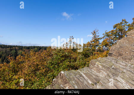 Blick Selketal im Herbst Foto Stock