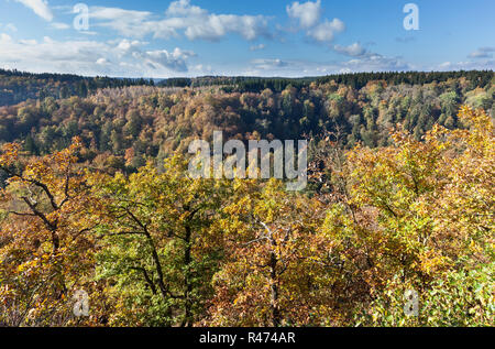 Blick Selketal im Herbst Foto Stock