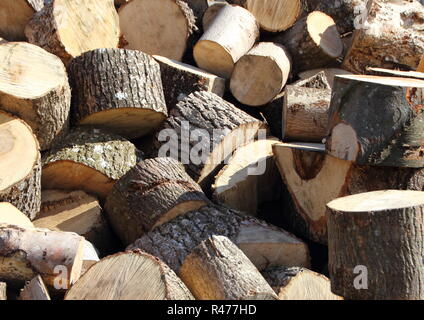 Pila di trito di linee di taglio di legna da ardere in disordine Foto Stock