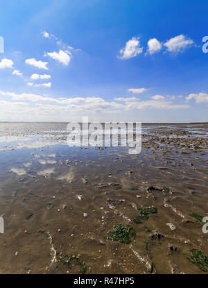 Ebbe in watt sul mare del Nord Foto Stock