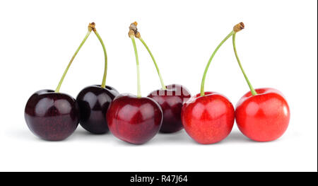 Tre coppie di diverse varietà di ciliegie dolci sulla levetta isolati su sfondo bianco. Foto Stock