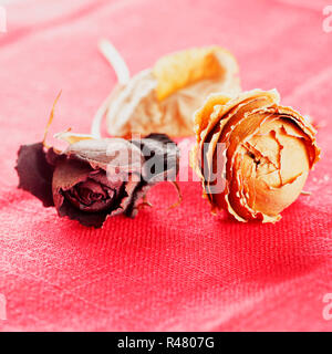 Rosa appassita su tessuto rosso Foto Stock