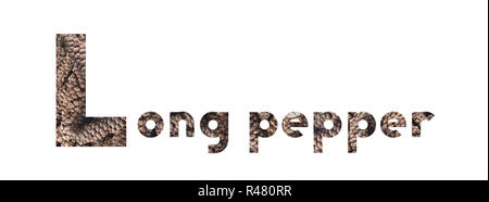 La parola a lungo con peperoncino essiccato indiano Pepe lungo isolato su bianco Foto Stock